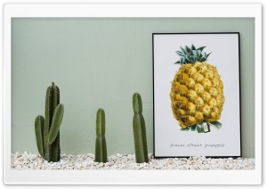 Cactus and Pineapple Ultra HD Wallpaper for 4K UHD Widescreen desktop, tablet & smartphone