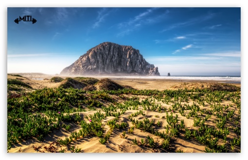 California UltraHD Wallpaper for HD 16:9 ; Widescreen 16:10 5:3 ;