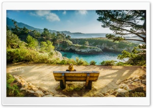 California Bench Ultra HD Wallpaper for 4K UHD Widescreen desktop, tablet & smartphone