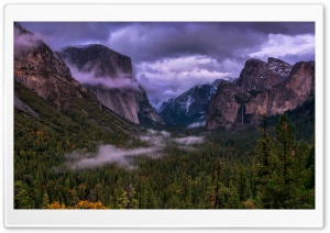 California Yosemite National Park Clouds Over Forest Ultra HD Wallpaper for 4K UHD Widescreen Desktop, Lockscreen, Screensaver, TV, Tablet, Smartphone