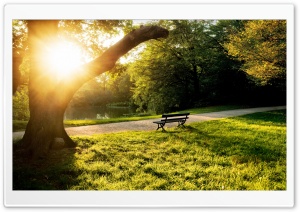 Calm Afternoon Ultra HD Wallpaper for 4K UHD Widescreen desktop, tablet & smartphone