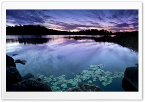 Calm Dusk Ultra HD Wallpaper for 4K UHD Widescreen desktop, tablet & smartphone