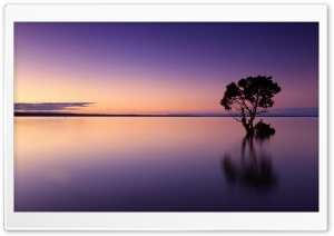 Calm Ocean Dusk Ultra HD Wallpaper for 4K UHD Widescreen desktop, tablet & smartphone