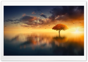 Calm Water Aesthetic Ultra HD Wallpaper for 4K UHD Widescreen desktop, tablet & smartphone