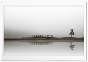 Calm Water, Bridge, Tree Reflection Ultra HD Wallpaper for 4K UHD Widescreen desktop, tablet & smartphone