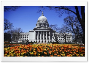 Capitol Building Ultra HD Wallpaper for 4K UHD Widescreen desktop, tablet & smartphone