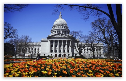 Capitol Building UltraHD Wallpaper for Wide 16:10 5:3 Widescreen WHXGA WQXGA WUXGA WXGA WGA ; 8K UHD TV 16:9 Ultra High Definition 2160p 1440p 1080p 900p 720p ; Standard 4:3 5:4 3:2 Fullscreen UXGA XGA SVGA QSXGA SXGA DVGA HVGA HQVGA ( Apple PowerBook G4 iPhone 4 3G 3GS iPod Touch ) ; Tablet 1:1 ; iPad 1/2/Mini ; Mobile 4:3 5:3 3:2 16:9 5:4 - UXGA XGA SVGA WGA DVGA HVGA HQVGA ( Apple PowerBook G4 iPhone 4 3G 3GS iPod Touch ) 2160p 1440p 1080p 900p 720p QSXGA SXGA ;