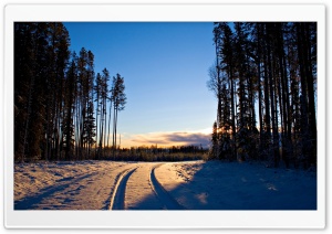 Car Snow Tracks Ultra HD Wallpaper for 4K UHD Widescreen desktop, tablet & smartphone