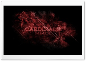 Cardinals Ultra HD Wallpaper for 4K UHD Widescreen desktop, tablet & smartphone