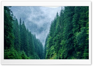 Carpathian Mountains Romania Ultra HD Wallpaper for 4K UHD Widescreen desktop, tablet & smartphone