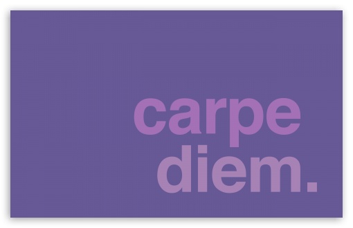 Carpe Diem Blurred Background Stock Illustration - Download Image Now -  Adulation, Beauty, Calligraphy - iStock
