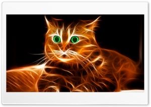 Cat 4K UHD Wallpaper for Widescreen and UltraWide Desktop, UltraHD TV, Smartphone, Tablet