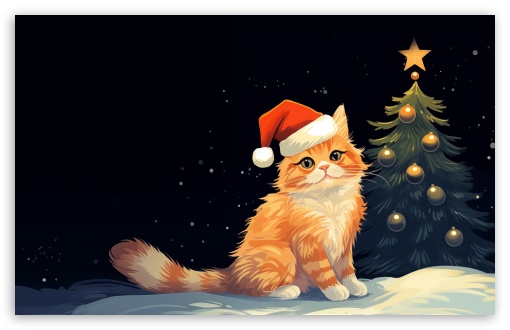 Cat with Christmas Hat UltraHD Wallpaper for UHD 16:9 ; HD 16:9 ; UltraWide 21:9 24:10 ; Widescreen 16:10 5:3 ; Fullscreen 4:3 5:4 3:2 ; Tablet 1:1 ; Mobile 9:16 2:3 3:5 3:4 ;