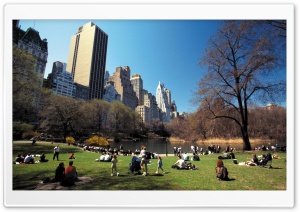 Central Park Ultra HD Wallpaper for 4K UHD Widescreen desktop, tablet & smartphone