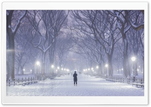 Central Park, New York City, Winter Background Ultra HD Wallpaper for 4K UHD Widescreen desktop, tablet & smartphone