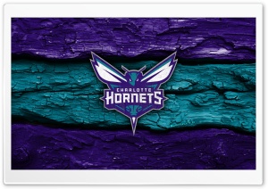 Charlotte Hornets Wooden Logo 4K UHD Wallpaper for Widescreen and UltraWide Desktop, UltraHD TV, Smartphone, Tablet