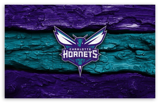 Charlotte Hornets Wooden Logo UltraHD Wallpaper for Widescreen 16:10 ;