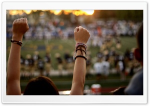 Cheering Fan Ultra HD Wallpaper for 4K UHD Widescreen desktop, tablet & smartphone