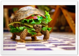 Cheese Turtle Burger By K23 Ultra HD Wallpaper for 4K UHD Widescreen desktop, tablet & smartphone