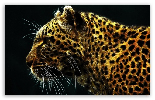 hd cheetah wallpaper