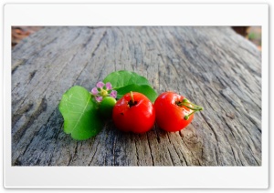 CHERI 4K UHD Wallpaper for Widescreen and UltraWide Desktop, UltraHD TV, Smartphone, Tablet