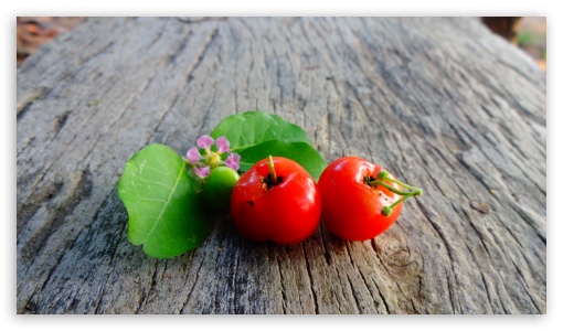 CHERI UltraHD Wallpaper for UHD 16:9 ; HD 16:9 ;