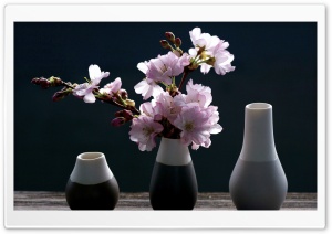 Cherry Blossoms Vase Background Ultra HD Wallpaper for 4K UHD Widescreen desktop, tablet & smartphone