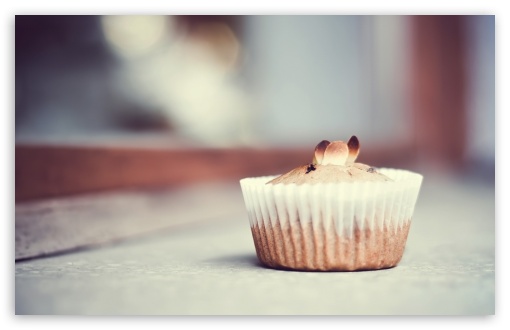 Chesnut Muffin UltraHD Wallpaper for UHD 16:9 ; HD 16:9 ; UltraWide 32:10 ; Widescreen 16:10 5:3 ; Fullscreen 4:3 5:4 3:2 ; Tablet 1:1 ; Mobile 3:5 3:4 ; Dual 16:10 5:3 4:3 5:4 ;