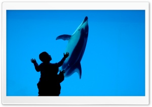 Children And A Dolphin Ultra HD Wallpaper for 4K UHD Widescreen desktop, tablet & smartphone