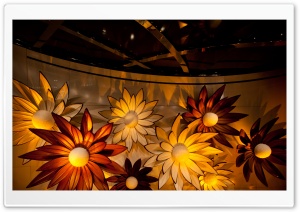Chocolate Flowers Ultra HD Wallpaper for 4K UHD Widescreen desktop, tablet & smartphone