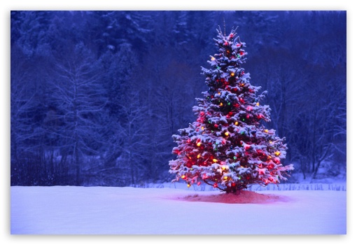 Christmas 55 UltraHD Wallpaper for Fullscreen 3:2 ;