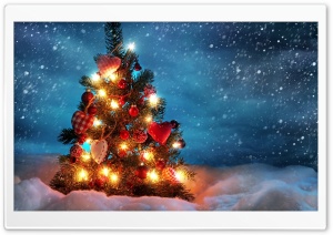 CHRISTMAS - TREE Ultra HD Wallpaper for 4K UHD Widescreen desktop, tablet & smartphone