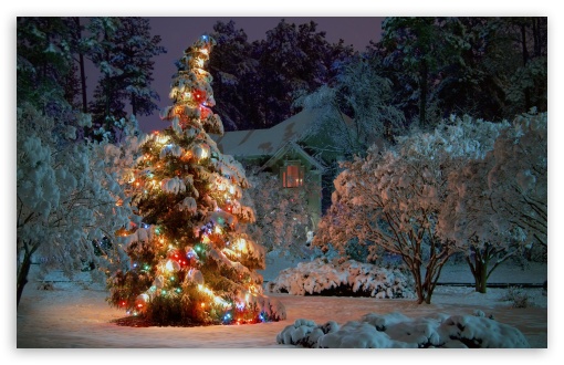 Christmas At Night Ultra HD Desktop Background Wallpaper for 4K UHD TV :  Tablet : Smartphone