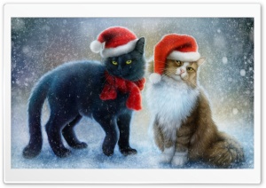 Christmas Cats Ultra HD Wallpaper for 4K UHD Widescreen desktop, tablet & smartphone