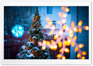 Christmas Eve Ultra HD Wallpaper for 4K UHD Widescreen desktop, tablet & smartphone
