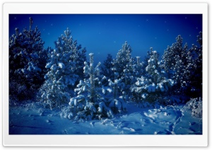 Christmas Fairyland Ultra HD Wallpaper for 4K UHD Widescreen desktop, tablet & smartphone