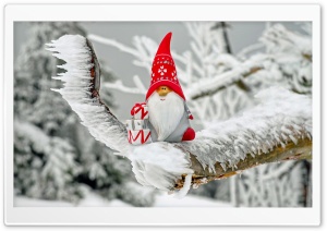 Christmas Gnome Ultra HD Wallpaper for 4K UHD Widescreen desktop, tablet & smartphone