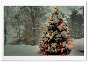 Christmas Lights 9 Ultra HD Wallpaper for 4K UHD Widescreen desktop, tablet & smartphone