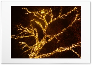 Christmas lights in Budapest Hungary Ultra HD Wallpaper for 4K UHD Widescreen desktop, tablet & smartphone