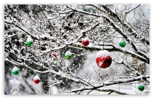 5811 Snow Desktop Wallpaper Images Stock Photos  Vectors  Shutterstock