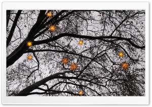 Christmas Stars Ultra HD Wallpaper for 4K UHD Widescreen desktop, tablet & smartphone