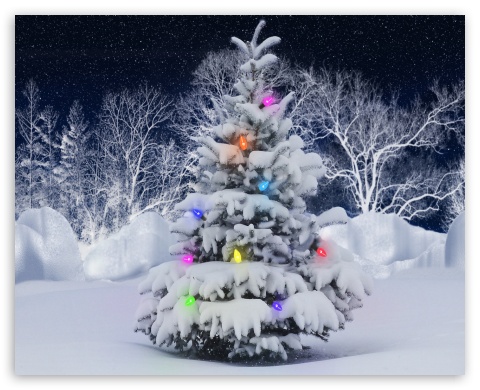 christmas tree UltraHD Wallpaper for Fullscreen 5:4 QSXGA SXGA ;