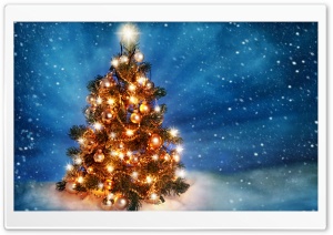 Christmas Tree 2015 Ultra HD Wallpaper for 4K UHD Widescreen desktop, tablet & smartphone