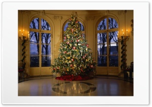 Christmas Tree 4K UHD Wallpaper for Widescreen and UltraWide Desktop, UltraHD TV, Smartphone, Tablet