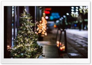 Christmas Tree Ultra HD Wallpaper for 4K UHD Widescreen desktop, tablet & smartphone