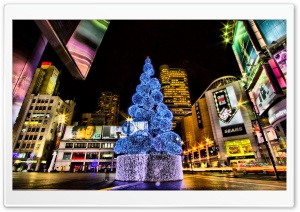 Christmas Tree, City Ultra HD Wallpaper for 4K UHD Widescreen desktop, tablet & smartphone