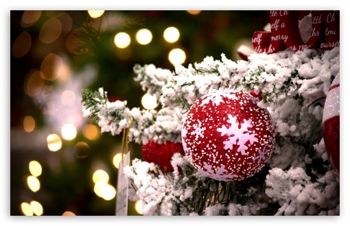 Christmas Tree Decoration UltraHD Wallpaper for HD 16:9 ; Widescreen 16:10 5:3 ; Fullscreen 4:3 5:4 3:2 ; Tablet 1:1 ; Mobile 9:16 2:3 3:5 3:4 ;