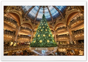 Christmas Tree in Paris Ultra HD Wallpaper for 4K UHD Widescreen desktop, tablet & smartphone