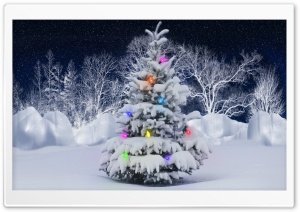 Christmas Tree, Outdoor Ultra HD Wallpaper for 4K UHD Widescreen desktop, tablet & smartphone