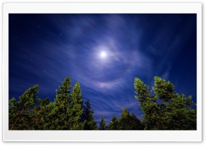 Cirrostratus Cloud at night causing a Moon Halo Ultra HD Wallpaper for 4K UHD Widescreen desktop, tablet & smartphone